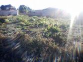 LOTE