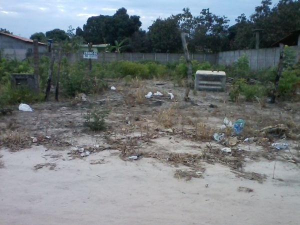 LOTE
