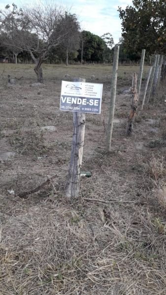 LOTE