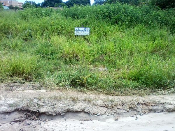 LOTE