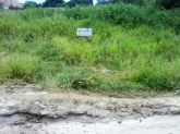 LOTE