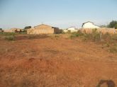 LOTE
